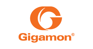 Gigamon