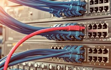 Network Cables