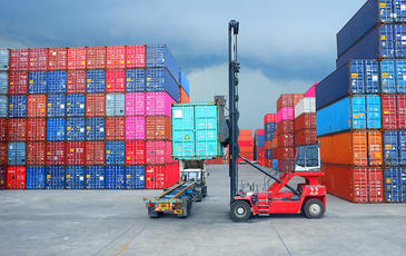 TEMS for Ports
