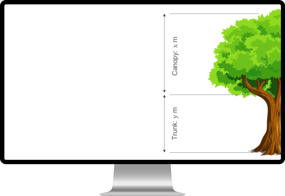 Planet 7.9 - canopy tree modelling