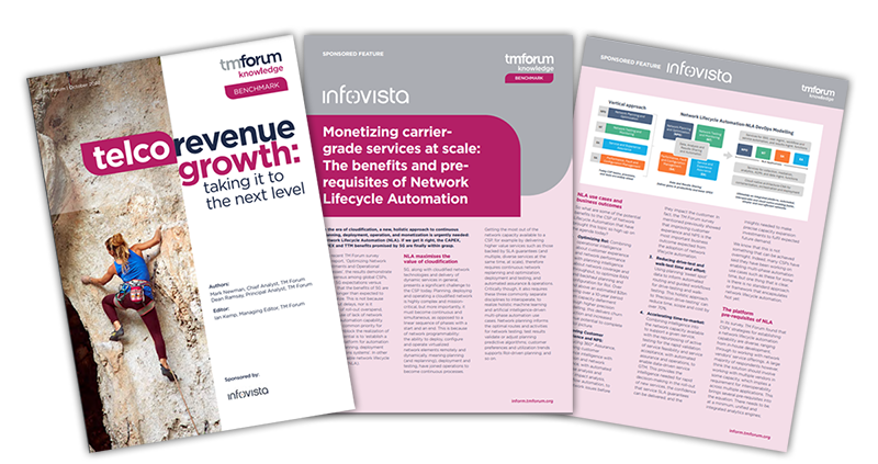 Preview image of TM Forum's report - Telco revenue growth