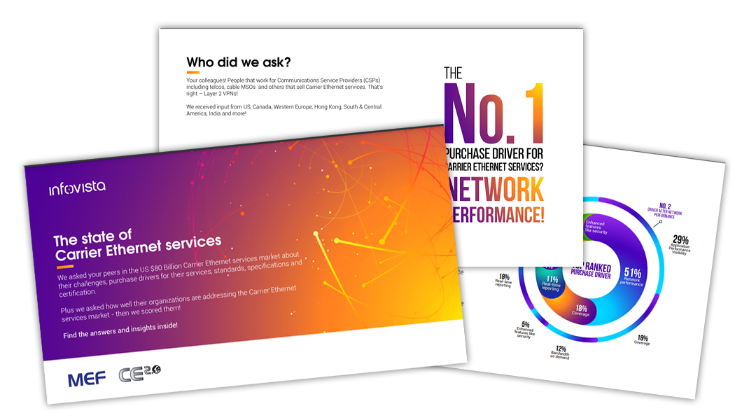 Preview of The State of Carrier Ethernet Services report