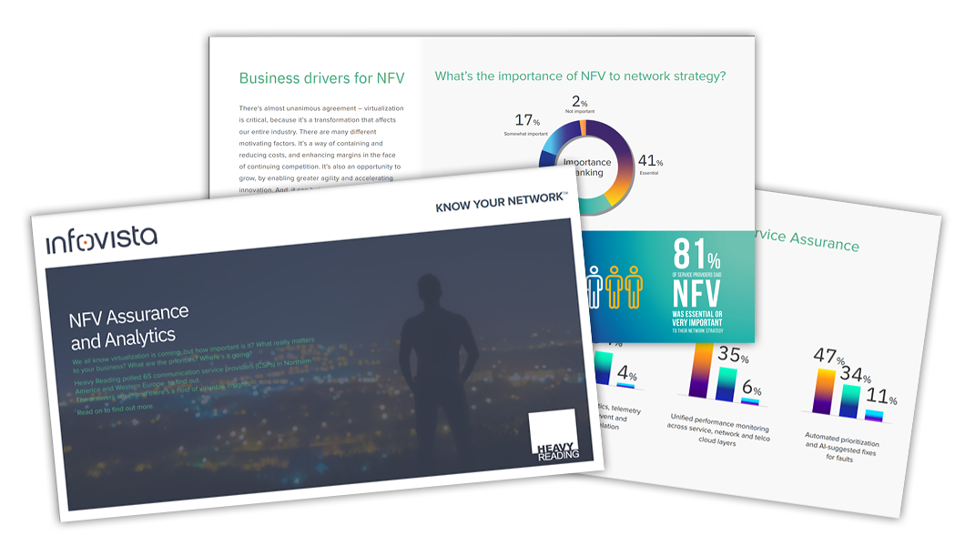 Preview of NFV Assurance and Analytics infographic report