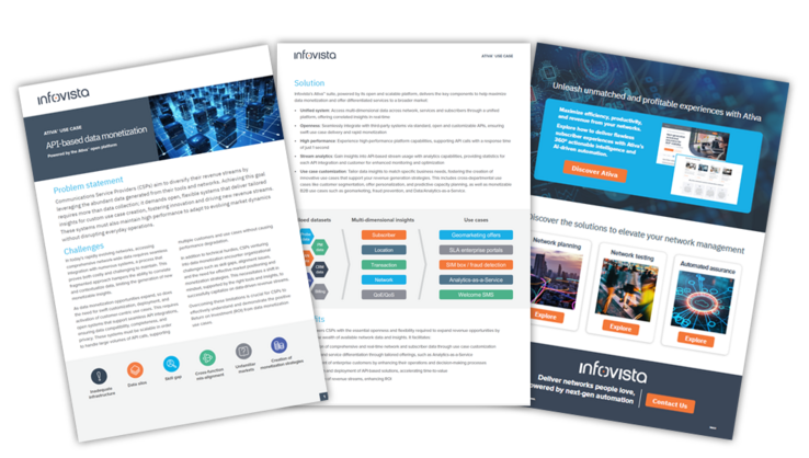 Preview of Ativa use case - API-based data monetization