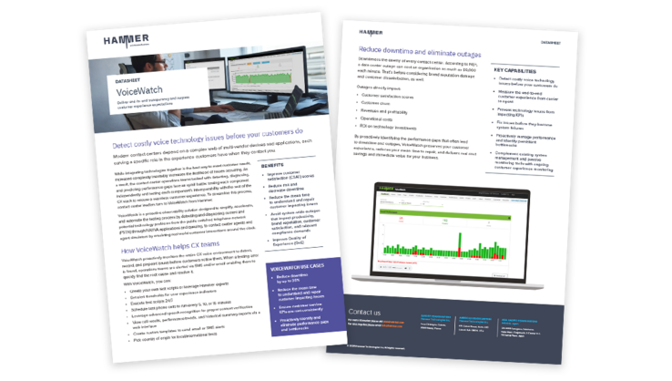 Preview of VoiceWatch datasheet