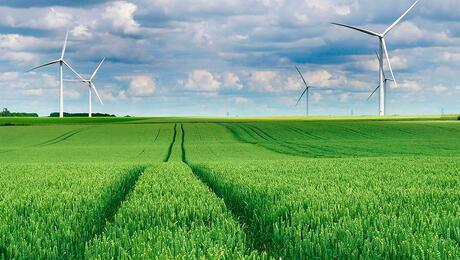 Earth Day field wind turbines