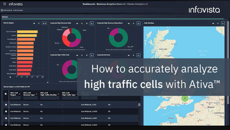 Ativa screen capture showing business analytics dashboard