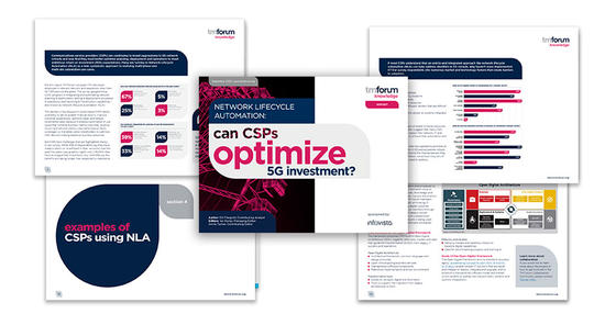 Can CSPs Optimize 5G investments? Survey preview