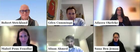 Webinar participants screenshot